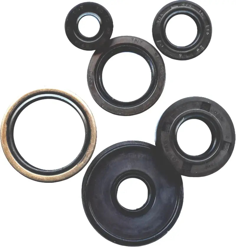 822152 Oil Seal Set wps-182-2152