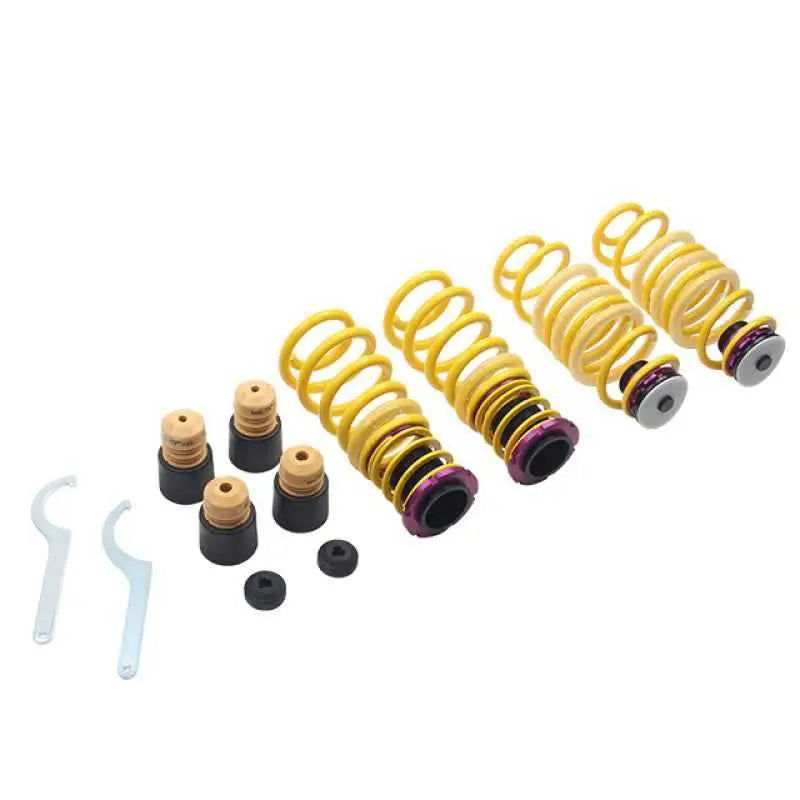 Adj Lowering Springs 25310090