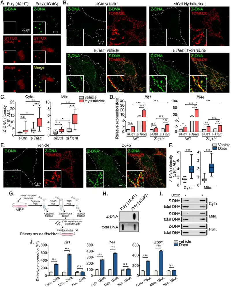 B-5020 Bower Bca Brng b42b5020