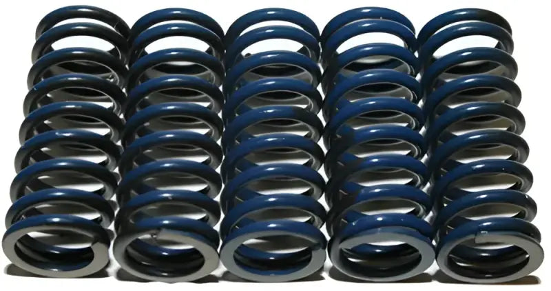 CS294-5-0109 High Temp Springs 5 Springs wps-151-6301