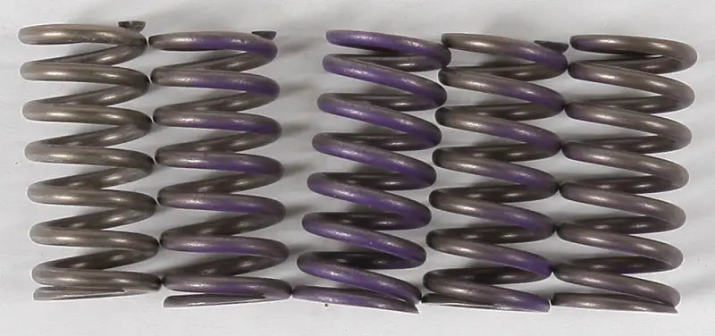 CS341-5-0311 High Temp Springs 5 Springs wps-151-6302