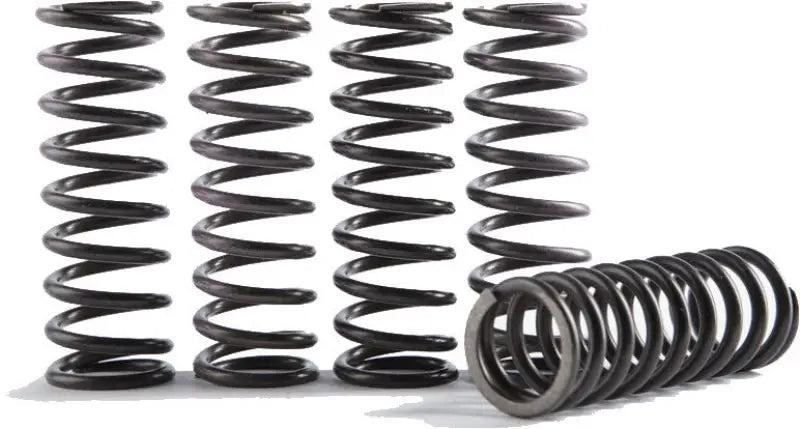 CS341-6-0311 High Temp Springs 6 Springs wps-151-6321