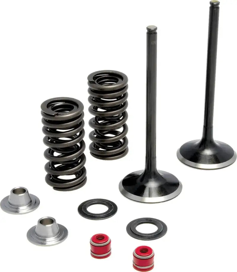 Intake Valve Spring Kit 191-43004