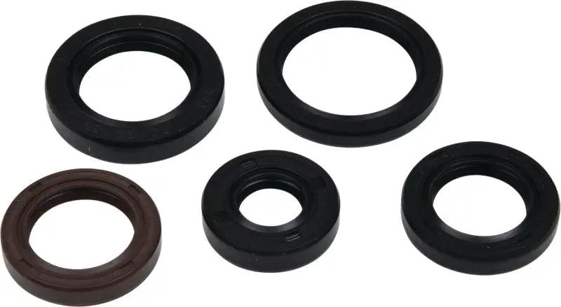 Oil Seal Kit wps-182-2394