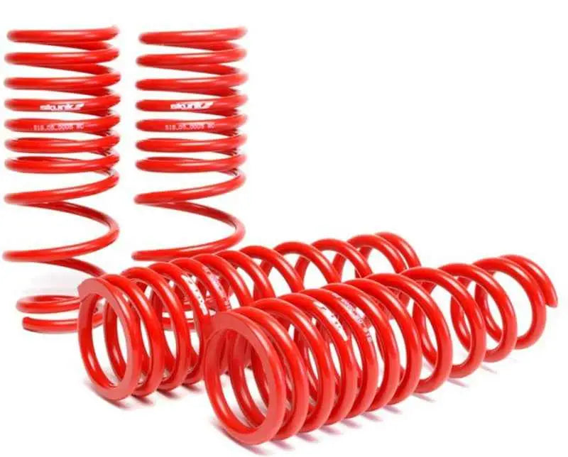 Skunk2 94-01 Acura Integra Lowering Springs (2.50in - 2.25in.) (Set of 4) 519-05-1560