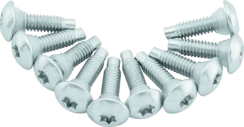 Twin Power 01-17 Softail Models 02-07 FLH FLHT Fuel Pump Plate Screw Kit Replaces H-D 1311D twp046268