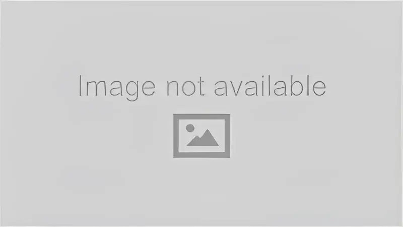 Zone Offroad 05-23 Ford F250/F350 Super Duty Dual Stabilizer Kit - ZONF8002 zorzonf8002